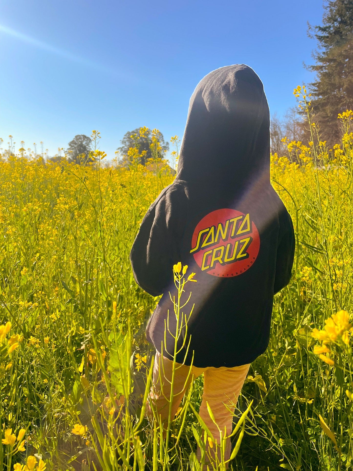 SC Youth Classic Dot Hoodie